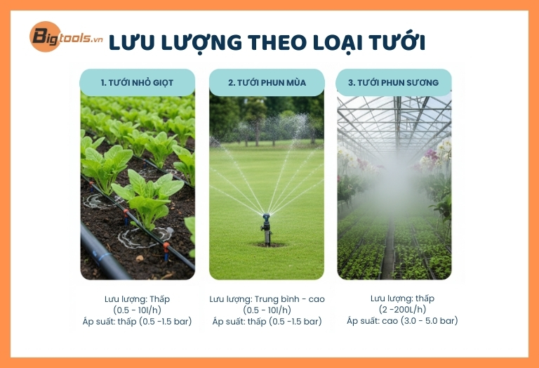 Lưu Lượng (Flow Rate) - Dòng Chảy Nuôi Dưỡng Sự Sống
