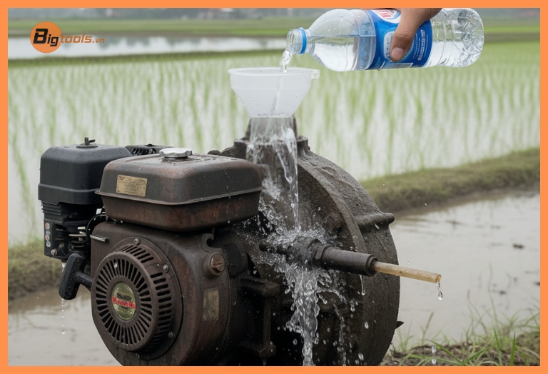 Kỹ thuật đổ nước mồi - Đổ nước sạch vào buồng bơm cho đến khi đầy tràn miệng lỗ để đuổi hết không khí ra ngoài.