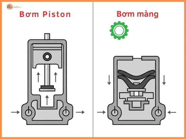 Loại Bơm Bơm Piston Và Bơm Màng 