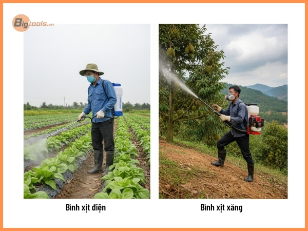 Phân Tích Đặc Điểm Cây Trồng và Địa Hình Khu Vực