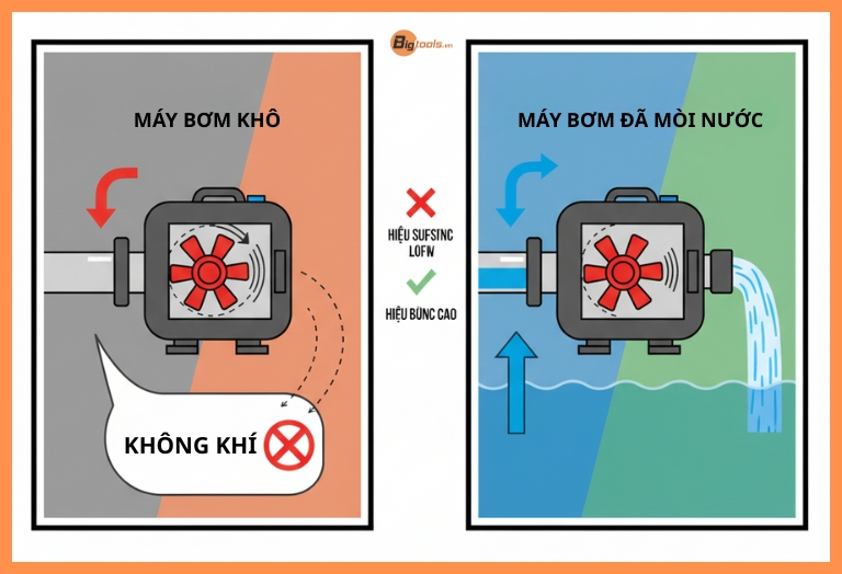 Cách mồi nước máy bơm đúng kỹ thuật - Tầm quan trọng của việc đuổi hết không khí để bảo vệ buồng bơm và cánh quạt.