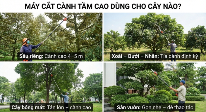 Máy cắt cành tầm cao phù hợp với nhiều loại cây